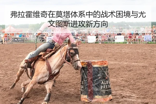 fu-la-huo-wei-qi-zai-mo-ta-ti-xi-zhong-de-zhan-shu-kun-jing-yu-you-wen-tu-si-jin-gong-xin-fang-xiang-2-774.jpg